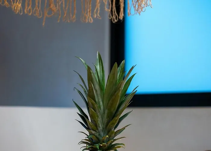 Appartement Estudio | Excelente Iluminacion |cerca De La Playa *