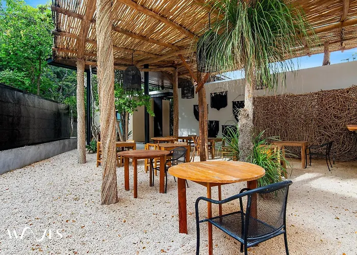 Estudio | Excelente Iluminacion |cerca De La Playa * Tulum